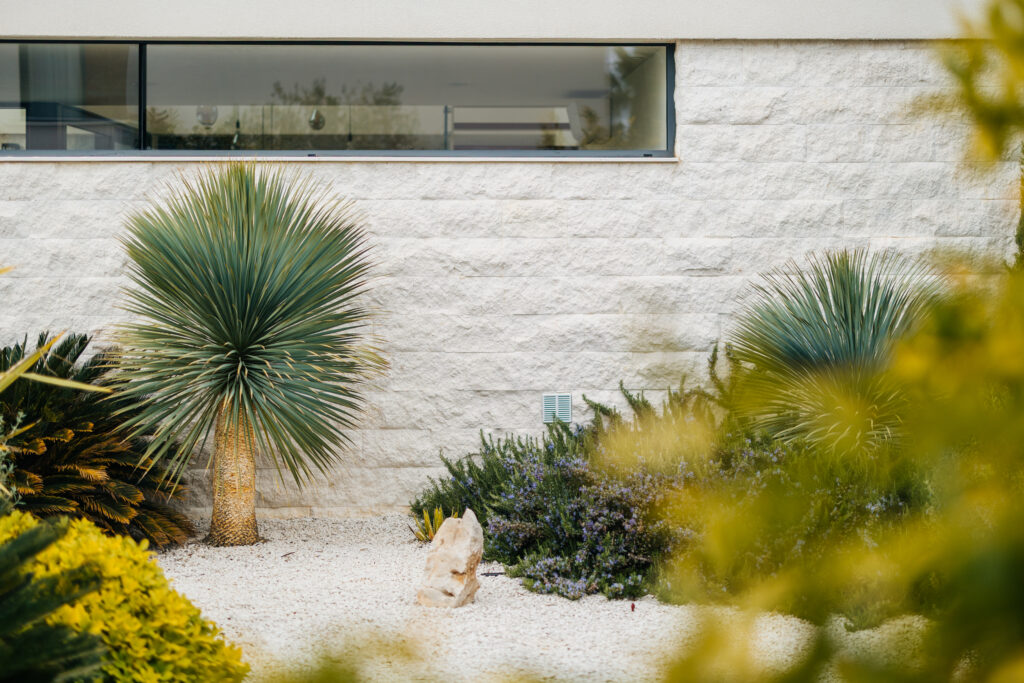 20260321_animare-villas_philipp-kirschner_003
