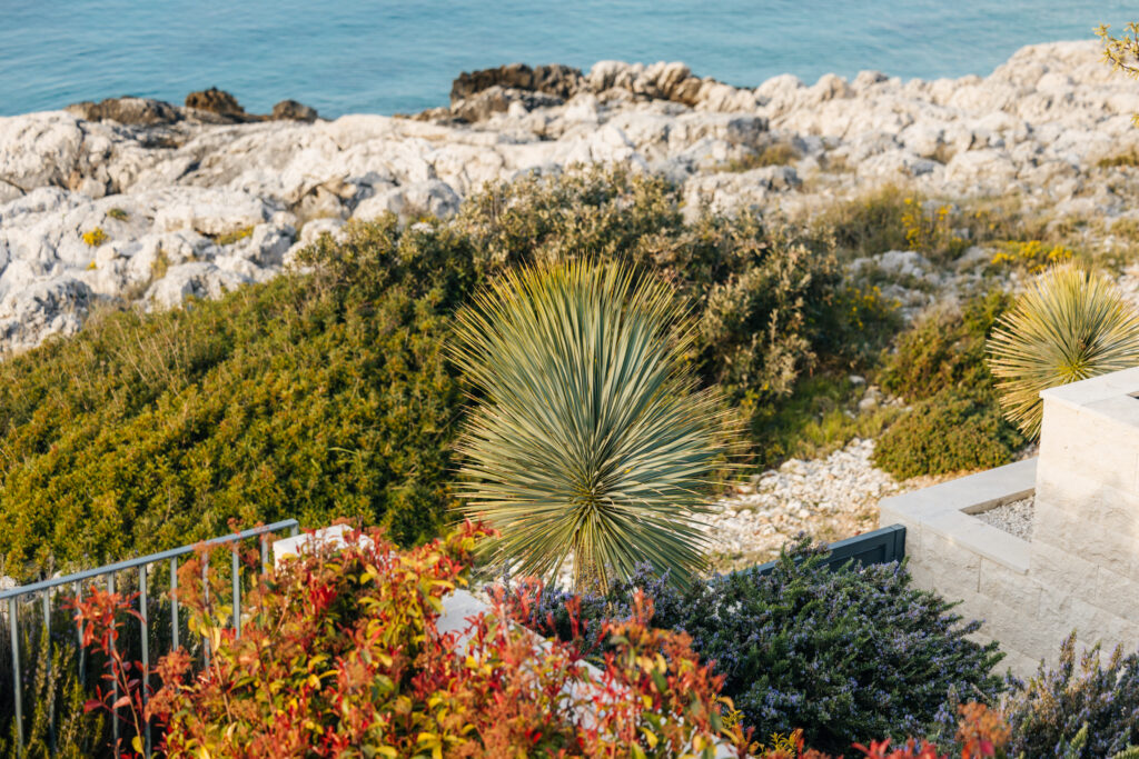 20260323_animare-villas_philipp-kirschner_352